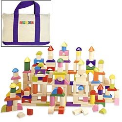 MAXIM 200 piece Blocks