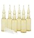 Complexe Energisant (6 Ampoules) 30ml by Leonor Greyl