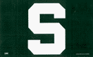 Michigan State - NCAA flags
