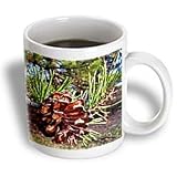 Flowers - Pine Cone - Mugs