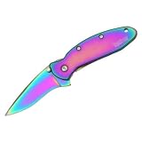 Kershaw 1620VIB Scallion, Rainbow Stainless Steel Handle, Plain