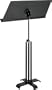 Hamilton Conductor Stand