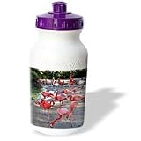 Birds - Flamingos - Water Bottles