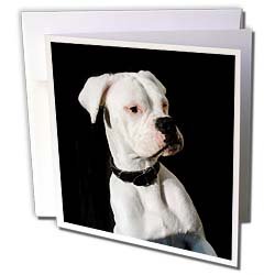 image link - - B000VG3I0C