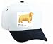 White Cap with spaniel, dog, clumber