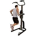Weider Club 290 Power Tower