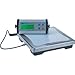 Adam Equipment Electronic Scale with Remote Display - 330-Lb. Capacity