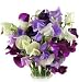 Early Spencer Mix Sweet Pea 30 Seeds