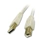 Cables To Go 13172 USB 2.0 A Male to B Male Cable, White (6.5 Feet/ 2 Meters)