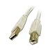 Cables To Go 13172 USB 2.0 A Male to B Male Cable, White (6.5 Feet/ 2 Meters)