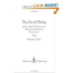 Joy of Being: Advanced Kum Nye Practices for Relaxation, Integration and Concentration (Tibetan Yoga)