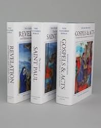 Navarre Bible New Testament - Hardcover (Navarre Bible)