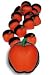 Apple Crocs Shoe Charm, Set of 7 Charms