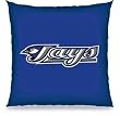 MLB Baseball Toronto Blue Jays 27X27 Floor Pillow - Team Sports Fan Shop Merchandise