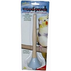 JW Pet Insight Sand Perch for Parakeets, Cockatiels & Similar Sized Birds (Regular)
