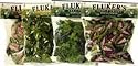 Fluker's Repta Vines-Purple Coleus