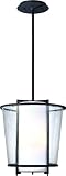 Bennington 15.25 High Fluorescent Outdoor Hanging Light