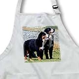 Dogs Bernese Mountain Dog - Bernese Mountain Dog - Aprons
