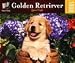 golden retriever - Golden Retriever 1000pc Puzzle
