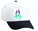 White Cap with wild, emerging, playing, dolphins, animal