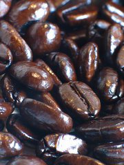 5 Lbs. Sumatra 460 Dark Roast by Dark Roast Coffees