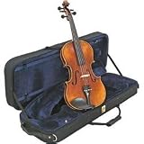 Bellafina Violina 5-string Violin Outfit 16 In