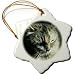 Gorgeous Maine Coon Cat The Queen - 3 Inch Snowflake Porcelain Ornament
