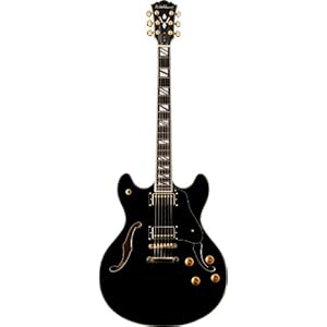 deal Washburn HB Series HB35BK Hollow-Body Electric Guitar, Black Reviews