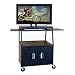 Buhl Wide Body Flat Screen Monitor Cart With Cabinet