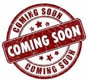 Shaq Mr. Big Candy Bar