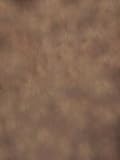 Prism Backdrops AMBR1012