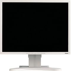 Iiyama Pro Lite H540S-W 53,3 cm (21 Zoll) TFT-Monitor weiss/beige (DVI)
