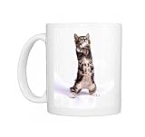 CAT - Kitten - On hind legs, 55 days old Photo Mugs