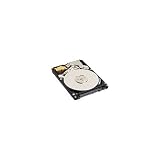 319ekVy%2BH1L. SL160  Western Digital WD1600BEVSRTL Scorpio 160 GB SATA 2.5 Inch Hard Drive