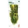 Natures Design Nitella Medium - 9" Natures Design Nitella Medium - 9"