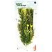 Natures Design Nitella Medium - 9"