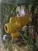 The Pond Watch/Aquatic Camera.