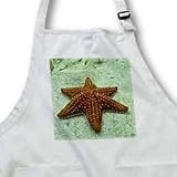 Seastar, San Blas Islands - Medium Length Apron With Pouch Pockets 22w X 24l