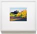 Fine Art Gicleacutee Vineyard Print 