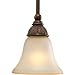 Progress Lighting P5111-55 1-Light Mini-Pendant, Tuscany Crackle