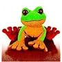 Webkinz Lil' Kinz Tree Frog