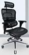 Ergohuman mesh chair with headrest