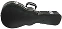 Ashbury Mandolin Case F Style