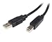 StarTech 6-Feet USB 2.0 Certified A to B Cable - M/M (USB2HAB6)