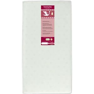 Simmons Kids Pampering Sleep 90 Coil Roundabout Linen Mattress, Green