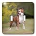 Dogs Pitbull - American Pit Bull Terrier - Light Switch Covers - double toggle switch