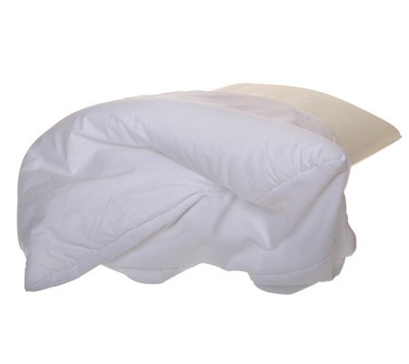 Cover image : Fiberfill Cozy Cover for Better Sleep Pillow, Exclusive Allergy Pillow Cover ...