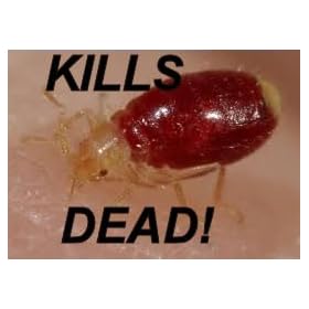 ZERO IN ZER968 Bed Bug Bedbugs Bugs Killer Spray 300ml