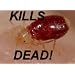ZERO IN ZER968 Bed Bug Bedbugs Bugs Killer Spray 300ml