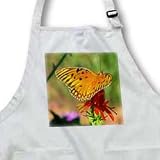 Gulf Fertillary Butterfly Butterfly on a flower - Waist Apron With Pockets